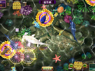 全新星力十代单挑